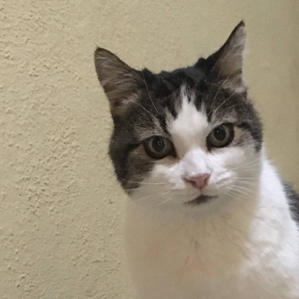 Meet your Posher, Mayuko